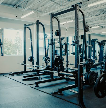 Atlantis commercial squat rack and power rack