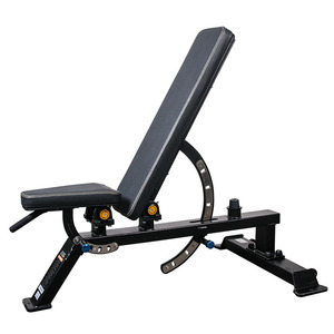 Low-price Commercial Multifunctional Adjustable Dumbbell Bench Muscle Board Bench Press Training Home Use Dumbbell Bench